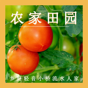 水乡风情 (钢片琴)