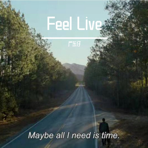 Feel Live