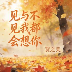 见与不见我都会想你