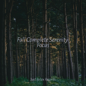 Melancholy Equilibrium Waltz