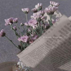 天上的星星不说话