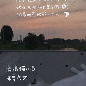 尘埃落