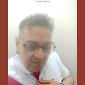 La tonta serías (Versión 2026)