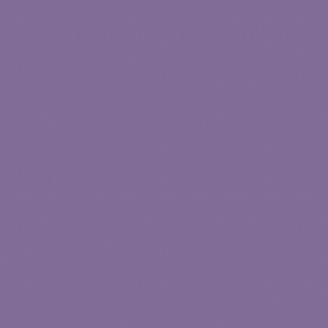 真的傻（吉他版）