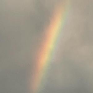 盛夏派对+【FREE】彩虹 | chill trap switch drill type