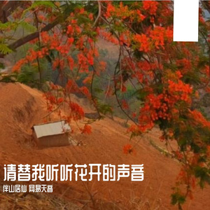 请替我听听花开的声音