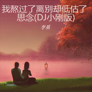 我熬过了离别却低估了思念 (DJ小刚版)