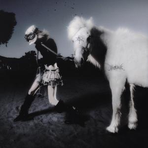 popoff ($werve Remix)