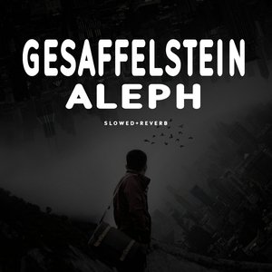 Gesaffelstein Aleph - Slowed+Reverb