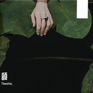 再见了 我的姑娘