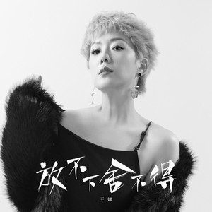 放不下舍不得 (DJ版)