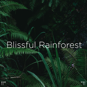 수면을위한 바다의 소리