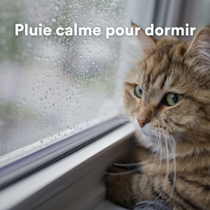Valse de la Fenêtre Mouillée (Musique de pluie pour dormir)