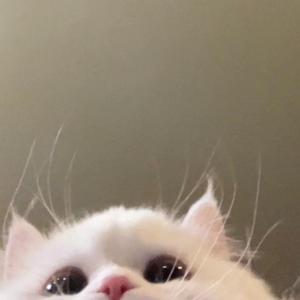 我不愿让你一个人(0.85x)