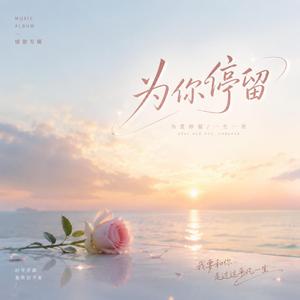 为你停留