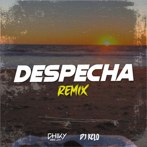 Despecha (Remix)