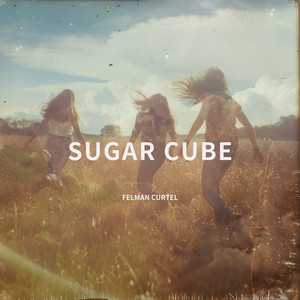 Sugar Cube