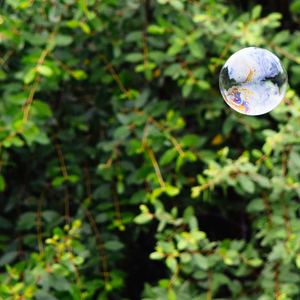 春风吹（翻自 方大同）