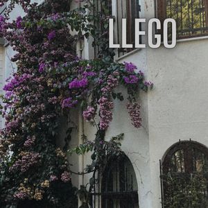 Llego