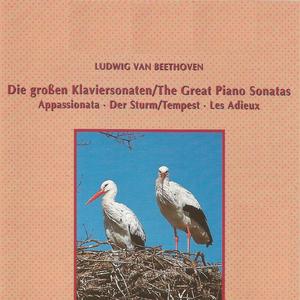 Piano Sonata No. 17, Op. 31 No. 2: I. Largo - Allegro