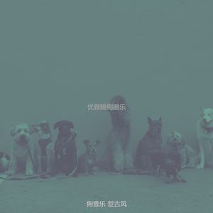 诗意的孤独的狗节奏