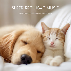 肖邦: 夜曲, 作品9-2