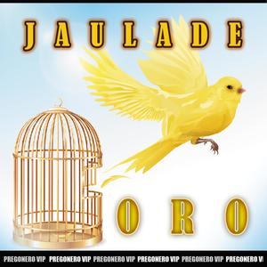 JAULA DE ORO