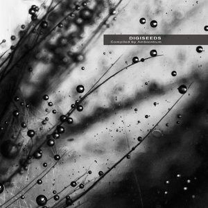 Seven Years of Summer