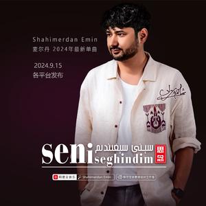 Seni seghindim 思念