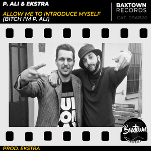Allow Me To Introduce Myself (B***h I'm P. Ali)
