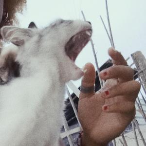 Beba meu sangue