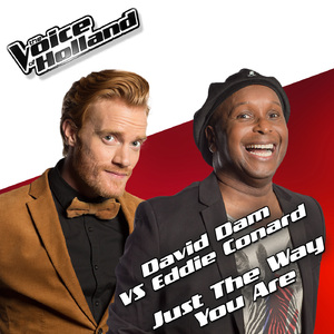 Just The Way You Are (From The voice of Holland 5)
