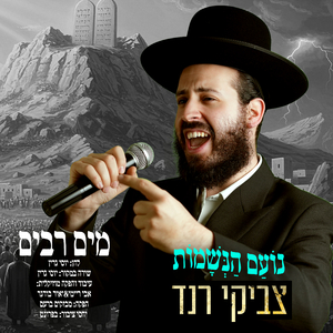 מים רבים