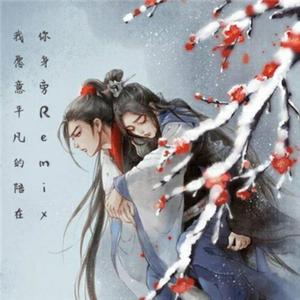 王七七-我愿平凡的陪在你身旁（DJ Skr7 / KBO Remix remix） 伴奏