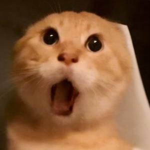 基米这么可爱真是抱歉 (Remix)