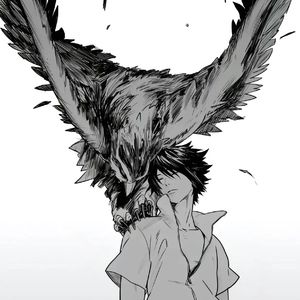 灰·良夜