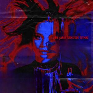 BU ŞARKI TURKİYE'DE TUTMAZ