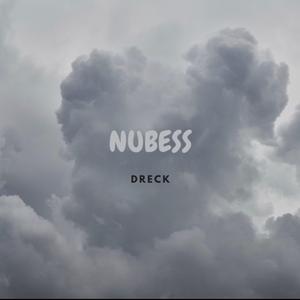 NUBESS