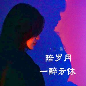 陪岁月一醉方休