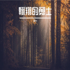 翱翔的勇士