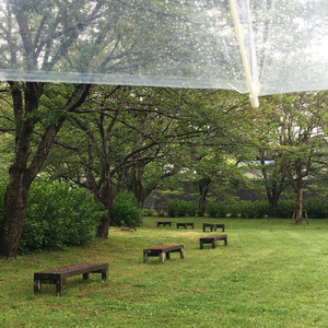 雨の降った日曜日