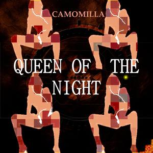 Queen of the night (Devid Morrison Remix Electro)
