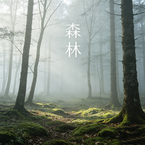 森林（摇滚版）