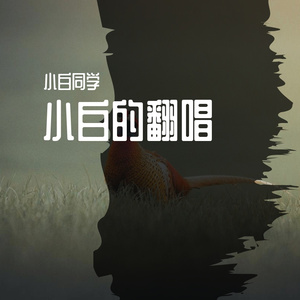 房东的猫-斑马斑马（小白同学 remix）