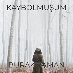 Kaybolmuşum