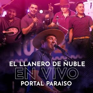 Piquito De Oro (En Vivo)