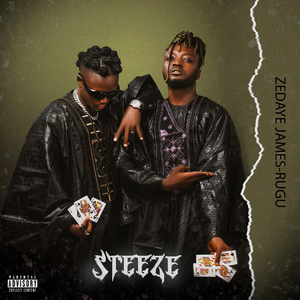 Steeze