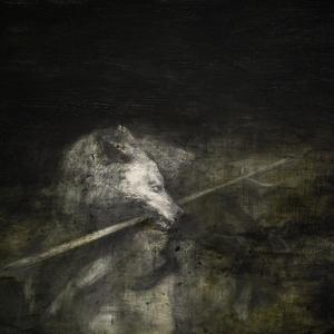 雪純白く咎知らず