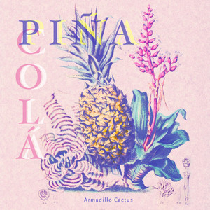 Piña Colá