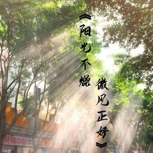 阳光不燥微风正好